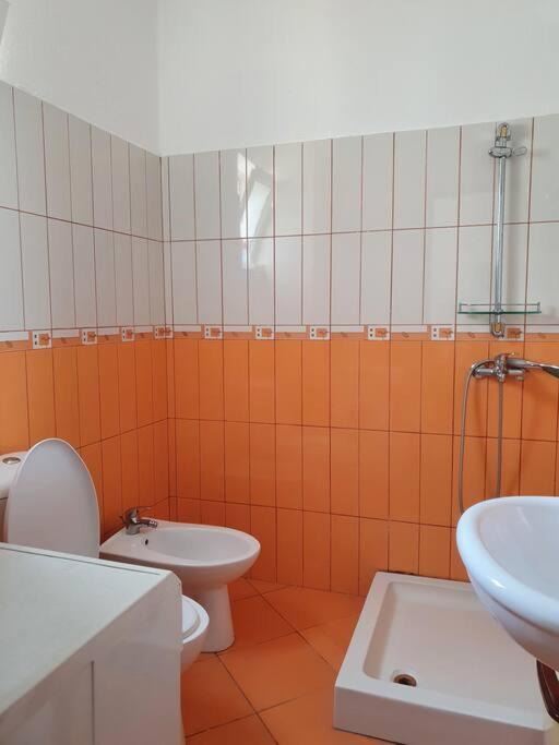 Cozy Apartment Near Ohrid Lake Pogradec Exteriör bild
